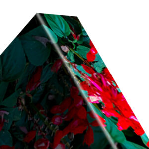Folded