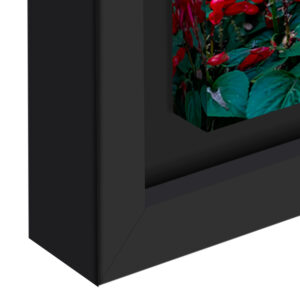 Premium Frame