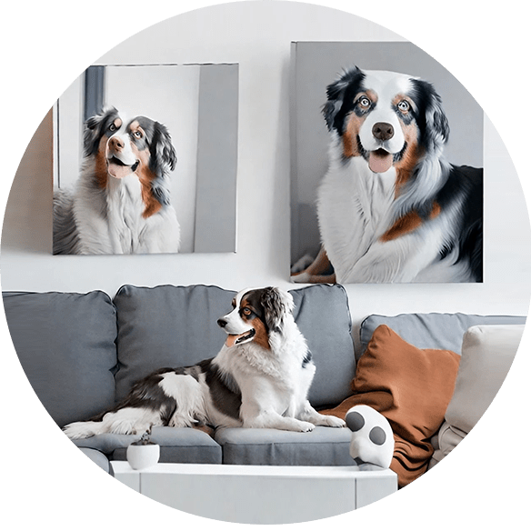 Pet Portraits Edmonton